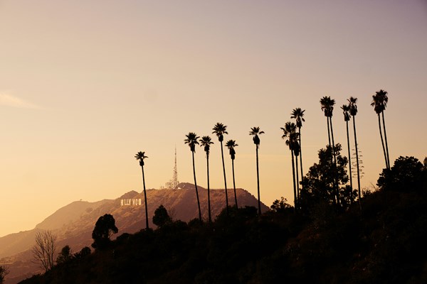 Trip Photo